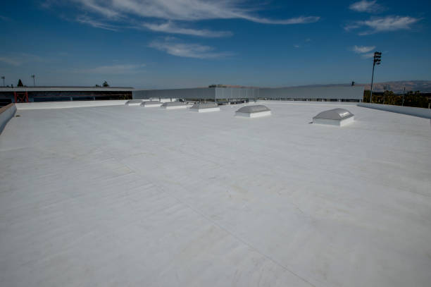 Best Solar Panel Roofing Installation  in Pardeeville, WI