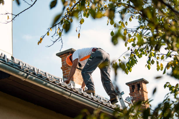 Best 4 Ply Roofing  in Pardeeville, WI