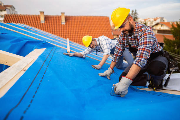 Best Roof Moss and Algae Removal  in Pardeeville, WI