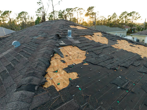 Best Storm Damage Roof Repair  in Pardeeville, WI