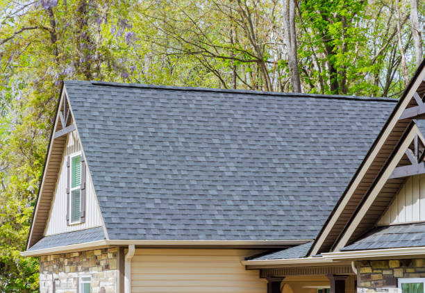 Best Solar Panel Roofing Installation  in Pardeeville, WI