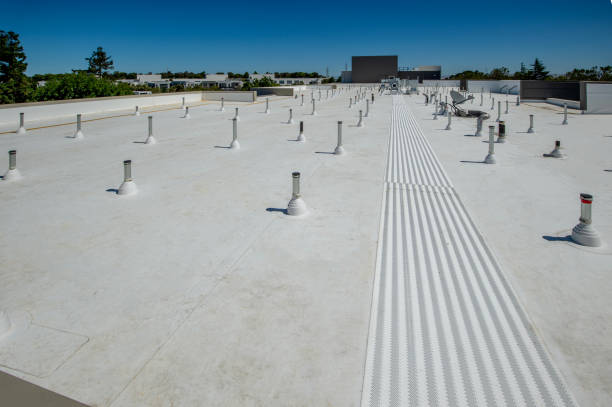 Best Skylight Installation and Repair  in Pardeeville, WI