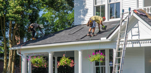 Best Green or Eco-Friendly Roofing Solutions  in Pardeeville, WI